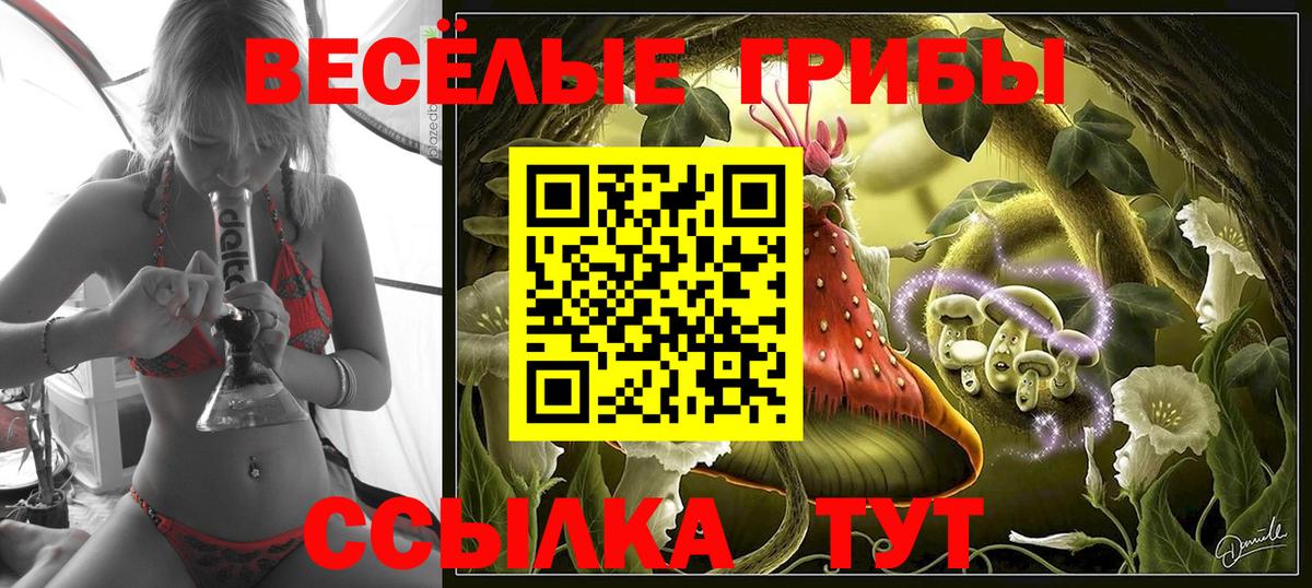 Кудрово  как найти закладки  Псилоцибиновые грибы Magic Shrooms  Вход с VPN  Галлюциногенные грибы прущие грибы 
