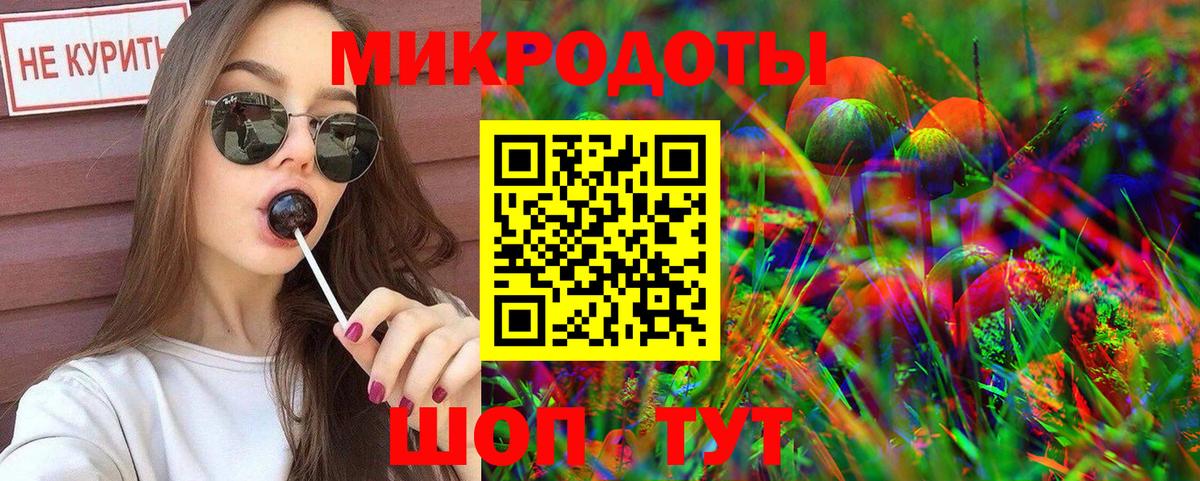 Псилоцибиновые грибы Psilocybe Кудрово